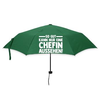 Arbeit Kollegen Büro Teamleiter Führungskraft Chef - Regenschirm (klein) - Flaschengrün - Vorne
