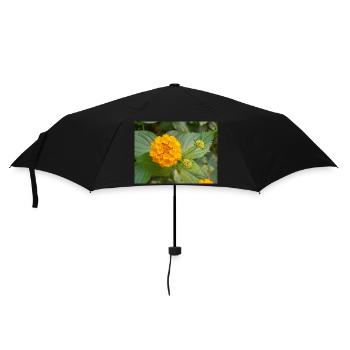 Lantana also Spanish flag Wandelröschen Lantana - Umbrella (small) - black - Front