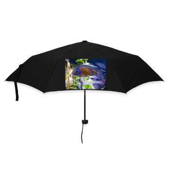 Copadichromis borleyi cichlid - Umbrella (small) - black - Front