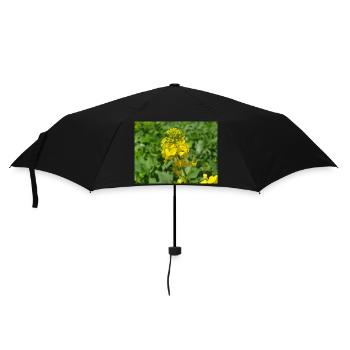 black mustard (in german Schwarzer Senf) - Umbrella (small) - black - Front