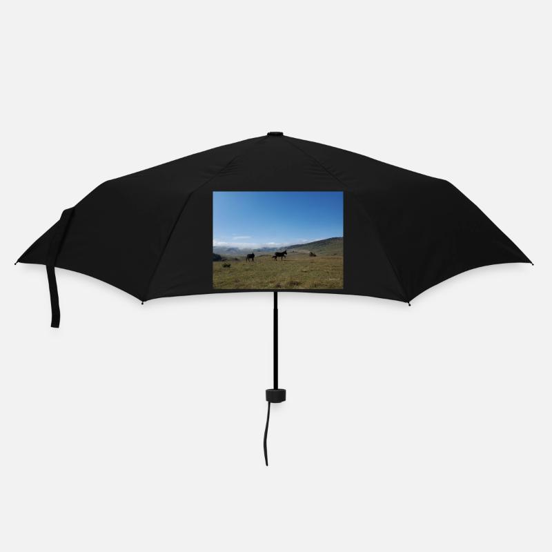 Esel, Berge, Wiesen - Regenschirm (klein) - Schwarz