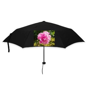 Chinesische Pfingstrose Chinesische Pfingsrose Paeonia - Regenschirm (klein) - Schwarz - Vorne