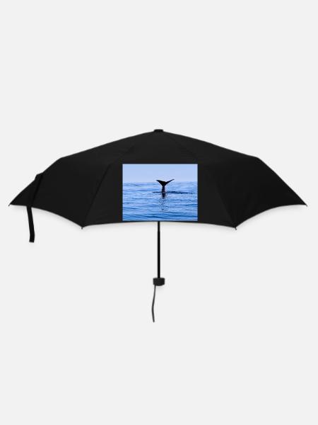 Wal - Regenschirm (klein) - Schwarz