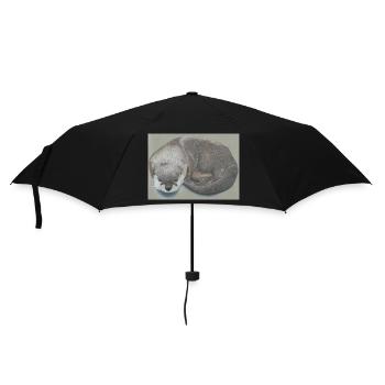 Loutre 12 03 2023 - Parapluie standard - noir - Devant