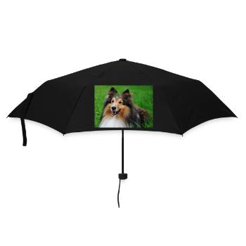 Happy Sheltie mi Kleeblatt auf dem Kopf, süß - Regenschirm (klein) - Schwarz - Vorne
