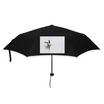 000 4816 NEF DxO DeepPRIMEXD - Umbrella (small) - black - Front