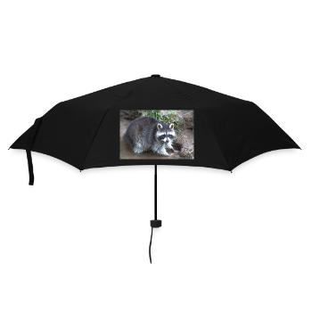 North American raccoon (racoons) - Umbrella (small) - black - Front
