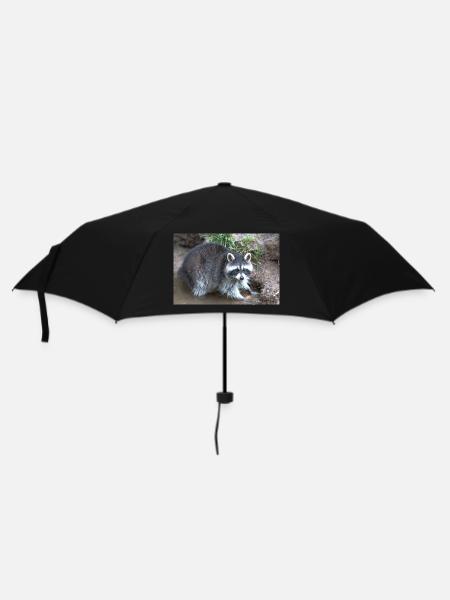 Nordamerikanischer Waschbär (racoons) - Regenschirm (klein) - Schwarz