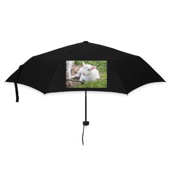 Lamb (Ovis) Lamb - Umbrella (small) - black - Front