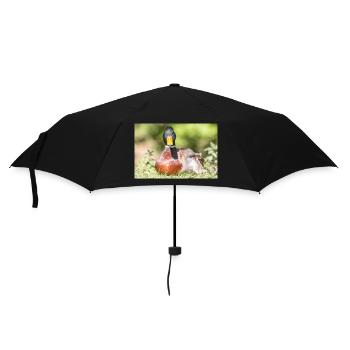 Male Mallard, wild duck (mallard) - Umbrella (small) - black - Front