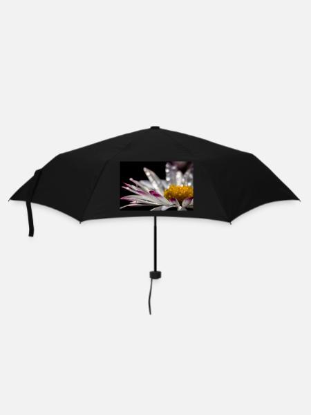 Paquerette - Regenschirm (klein) - Schwarz