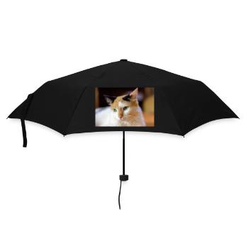 le chat au doux regard - Parapluie standard - noir - Devant