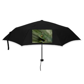 Cochranella granulosa - grenouille de verre, grenouille arboricole - Parapluie standard - noir - Devant