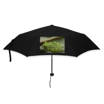 Hyalinobatrachium valerioi - Glass frog - Umbrella (small) - black - Front