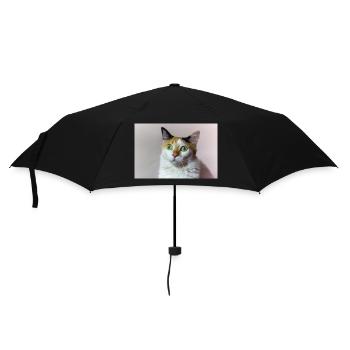Die Katze - Regenschirm (klein) - Schwarz - Vorne
