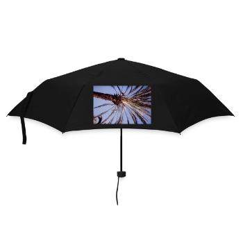 Coconut Tree - Regenschirm (klein) - Schwarz - Vorne