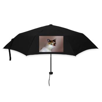 le chat au doux regard - Parapluie standard - noir - Devant