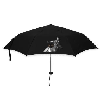 Die seltsame Katze - Regenschirm (klein) - Schwarz - Vorne