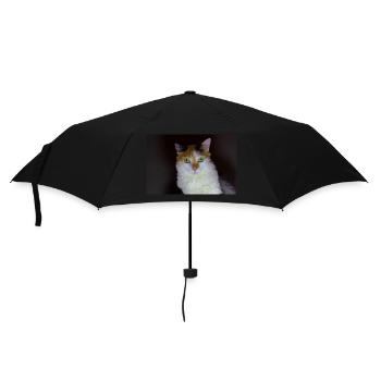 Die Katze mit dem süßen Look - Regenschirm (klein) - Schwarz - Vorne