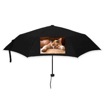 the cat - Umbrella (small) - black - Front