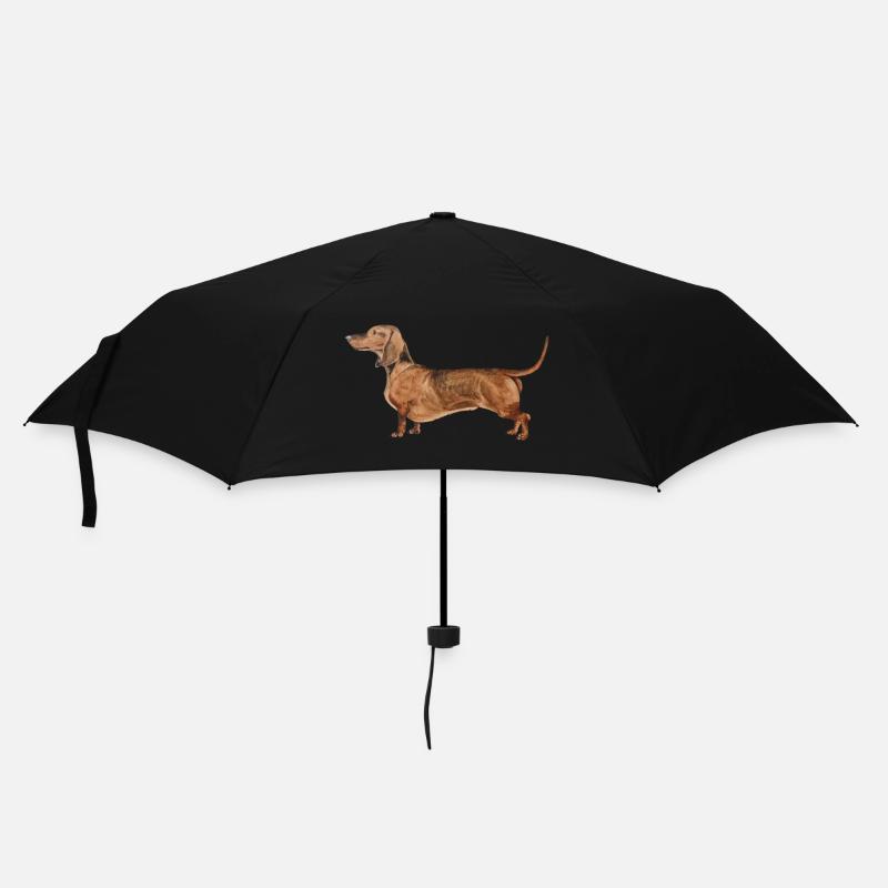 Dackel Kurzhaardackel Dachshund - Paraply (lille) - sort