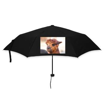 Alpaca (in german Alpaka) Vicugna pacos - Umbrella (small) - black - Front