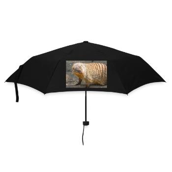 Banded Mongoose or Zebra Mongoose - Umbrella (small) - black - Front