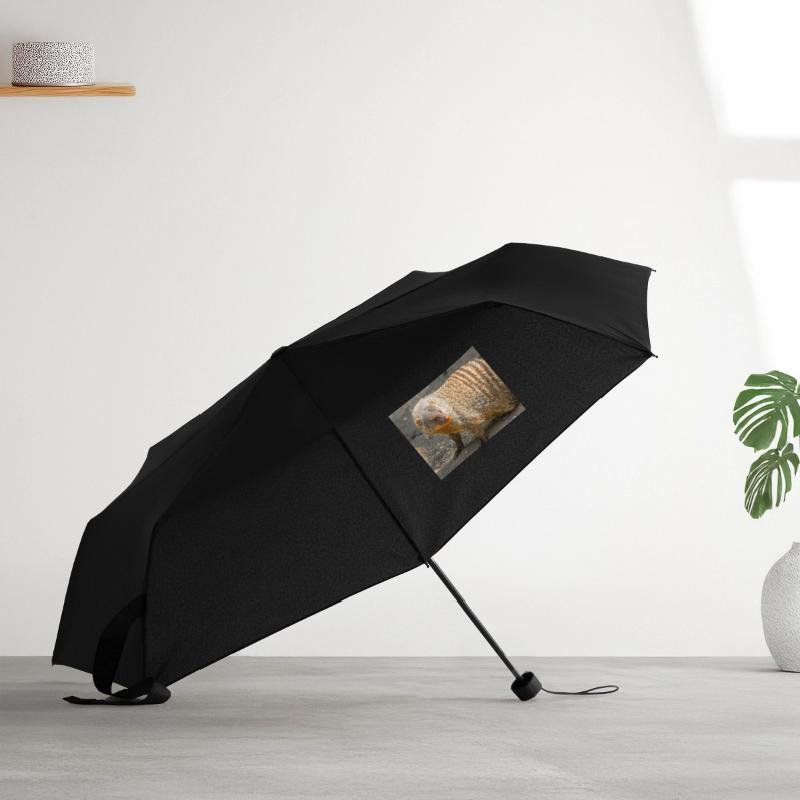 Regenschirm (klein)