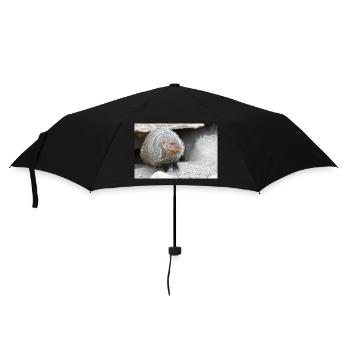Gebänderte Manguste oder Zebramanguste - Regenschirm (klein) - Schwarz - Vorne
