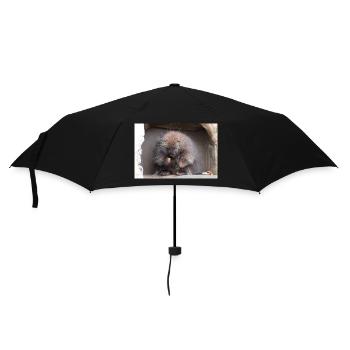 Tree-spined New World porcupines Erethizontidae - Umbrella (small) - black - Front