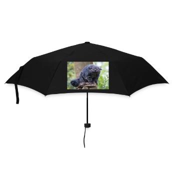Binturong also bearcat Marderbär Arctictis - Umbrella (small) - black - Front