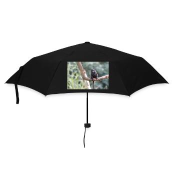 Tamarin à manteau noir Schwarzrückentamarin - Parapluie standard - noir - Devant