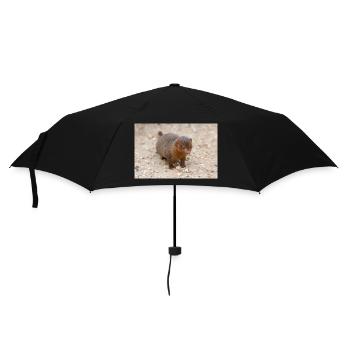 dwarf mongoose (in german Zwergmangusten) Helogale - Umbrella (small) - black - Front
