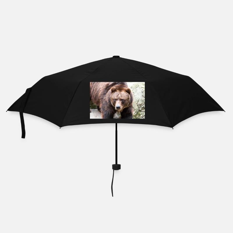 Braunbär Ursus arctos - Regenschirm (klein) - Schwarz