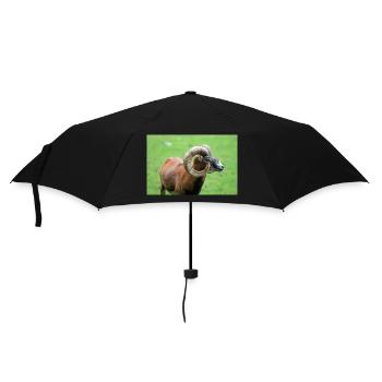 European mouflon Europäischer Mufflon - Umbrella (small) - black - Front