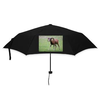 European mouflon Europäischer Mufflon - Umbrella (small) - black - Front