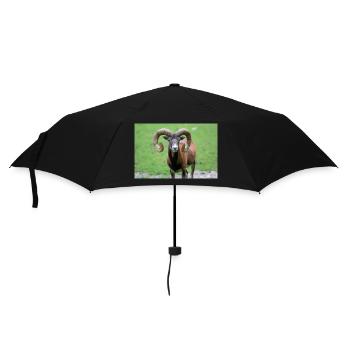 European mouflon Europäischer Mufflon - Umbrella (small) - black - Front