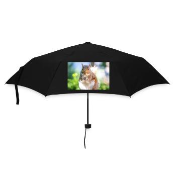 Grauhörnchen essen - Regenschirm (klein) - Schwarz - Vorne