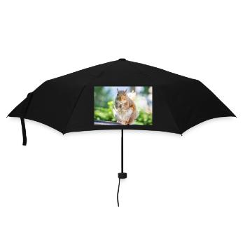 Essen Grauhörnchen Grauhörnchen Sciurus carolin - Regenschirm (klein) - Schwarz - Vorne