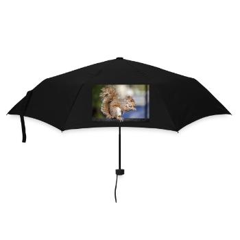Grauhörnchen essen - Regenschirm (klein) - Schwarz - Vorne