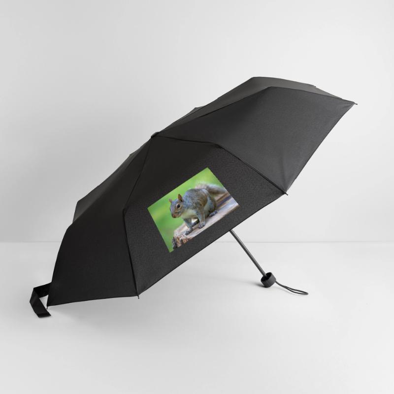 Grey squirrel Grauhörnchen Sciurus carolinensis Umbrella (small)