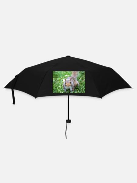 Écureuil gris Grauhörnchen Sciurus carolinensis - Parapluie standard - noir