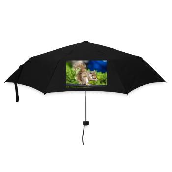 Essen Grauhörnchen Grauhörnchen Sciurus carolin - Regenschirm (klein) - Schwarz - Vorne