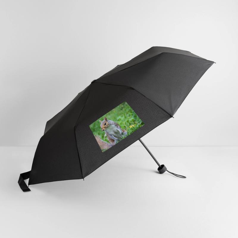 Grey squirrel Grauhörnchen Sciurus carolinensis Umbrella (small)