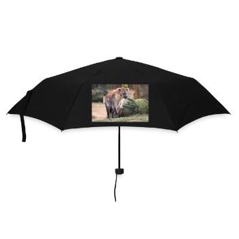 hyena or hyaena or harpy (in german Hyäne) Hyaenid - Umbrella (small) - black - Front