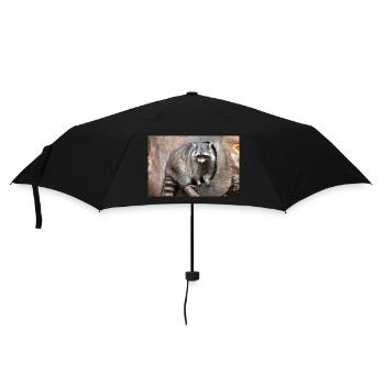 Raton laveur nord-américain (en allemand Waschbär) - Parapluie standard - noir - Devant
