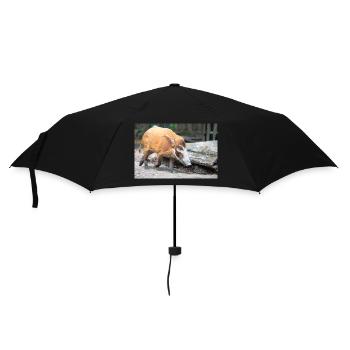 Buschschwein oder Rotflussschwein Pinselohrschwein - Regenschirm (klein) - Schwarz - Vorne