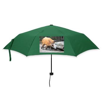 Buschschwein oder Rotflussschwein Pinselohrschwein - Regenschirm (klein) - Flaschengrün - Vorne
