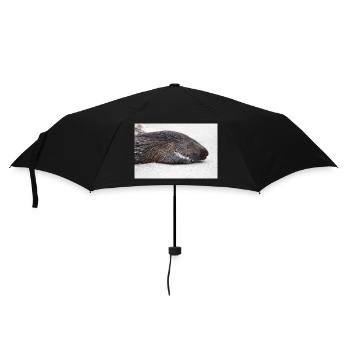 Porcupine als Porky (in german Stachelschwein) - Umbrella (small) - black - Front