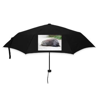 Porcupine als Porky (in german Stachelschwein) Hys - Umbrella (small) - black - Front